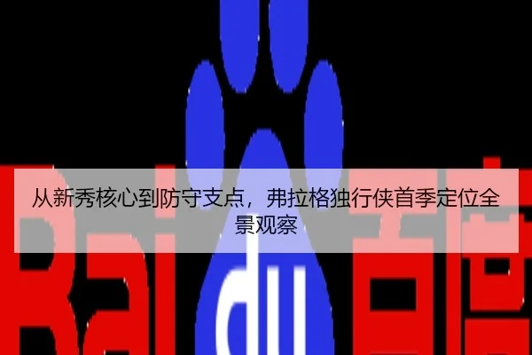 从新秀核心到防守支点，弗拉格独行侠首季定位全景观察